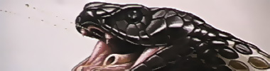 cobra2.jpg
