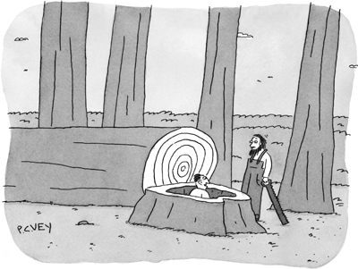 Rejected from the New Yorker cartoon caption contest | Kasper Hauser